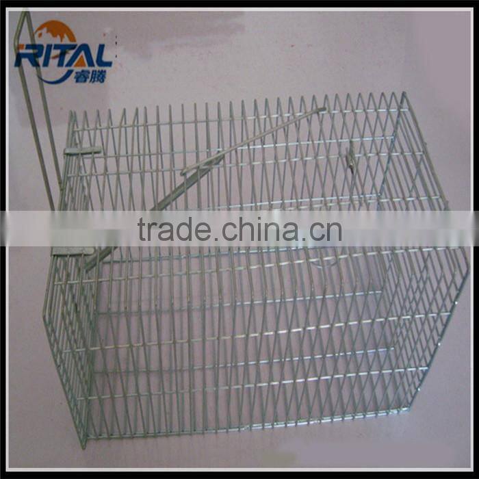 Best quality and competitive price for new model Eco-friendly Large Mouse Trap