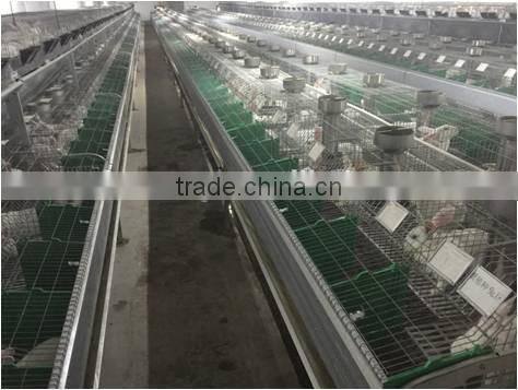 cages rabbit the new rabbit cage equipment