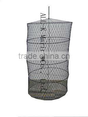 Black Double Day Signals