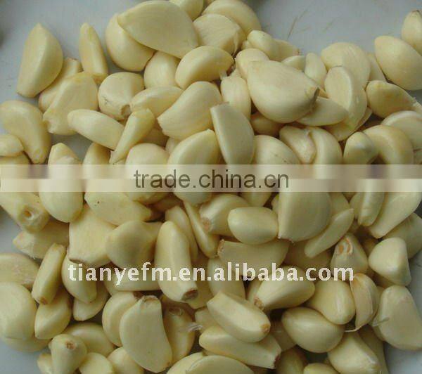 TW-1001 Garlic peeling machine India (video)