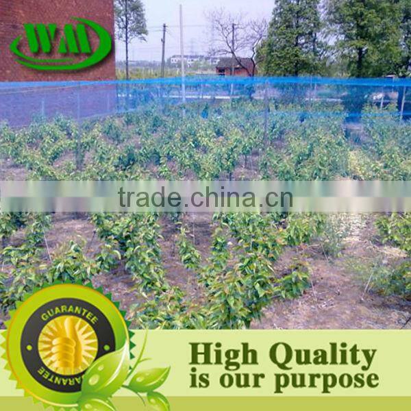 2014 hot sale hdpe bird net mesh