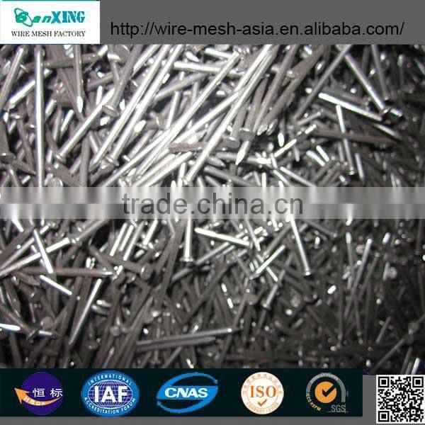 Polished Common Nail (Factory)