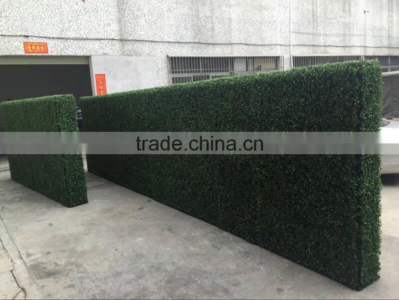High Quality Plastic Artificial Boxwood hedge Green Wall