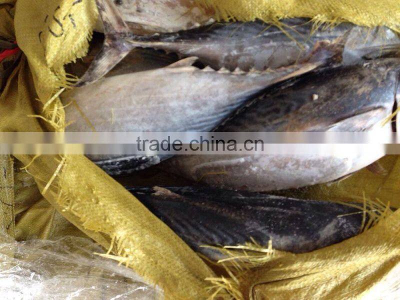 Good quality tuna