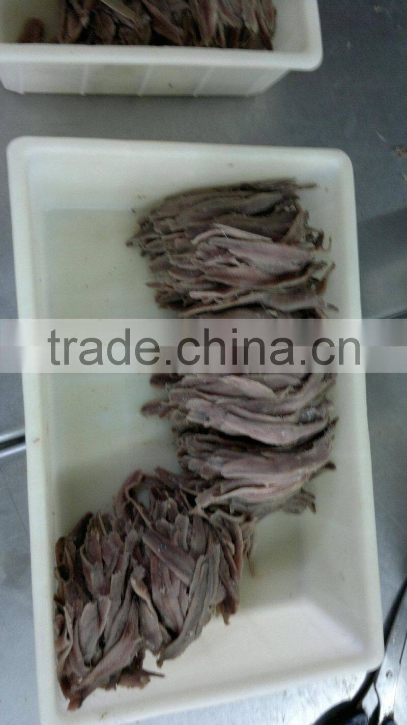 Spain processing way salted anchovy fillets