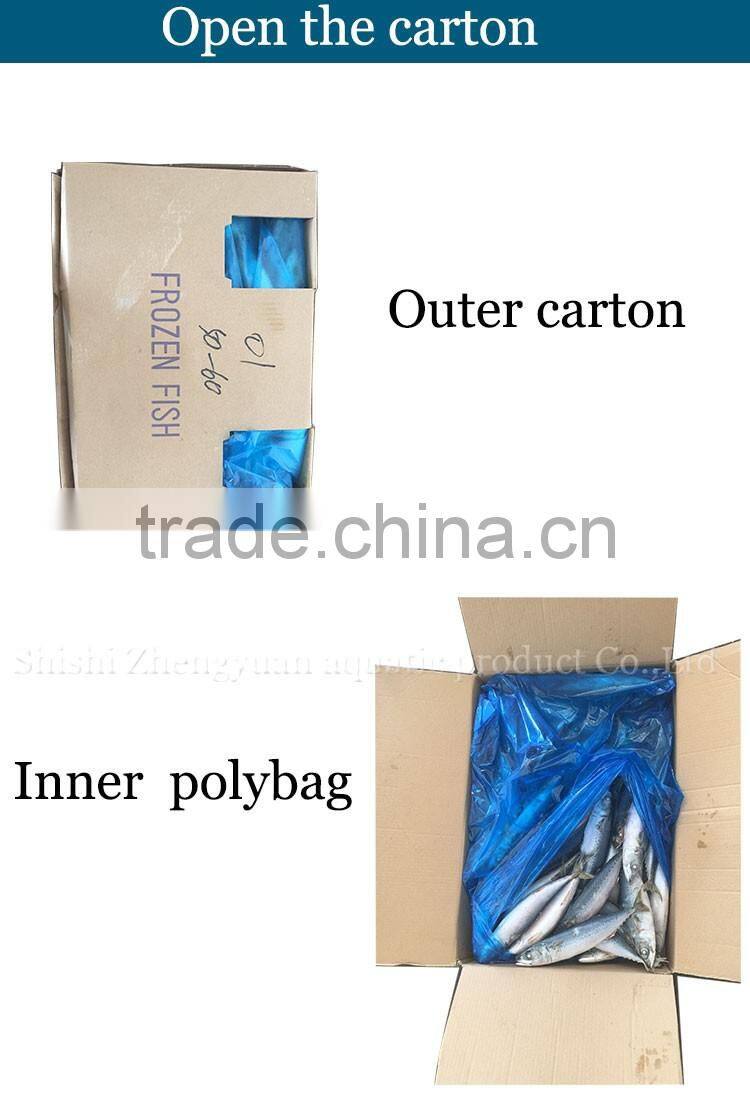 BQF new catch size 400/600 g sea frozen pacific mackerel