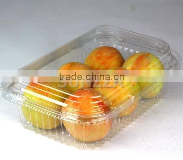 Disposable packaging ;Vegetable box ;Fruit dish