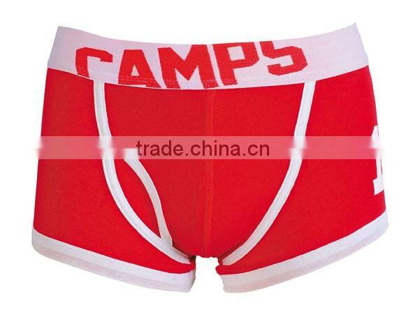 Men's briefs with print