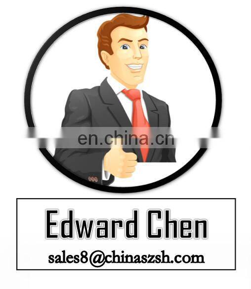 LED blinking Advertising image projection keychain/OEM logo projection keychain