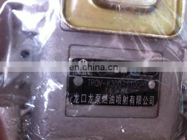 LONGBENG Fuel Injection Pump 5062A BHT6P120R for Weichai Engine