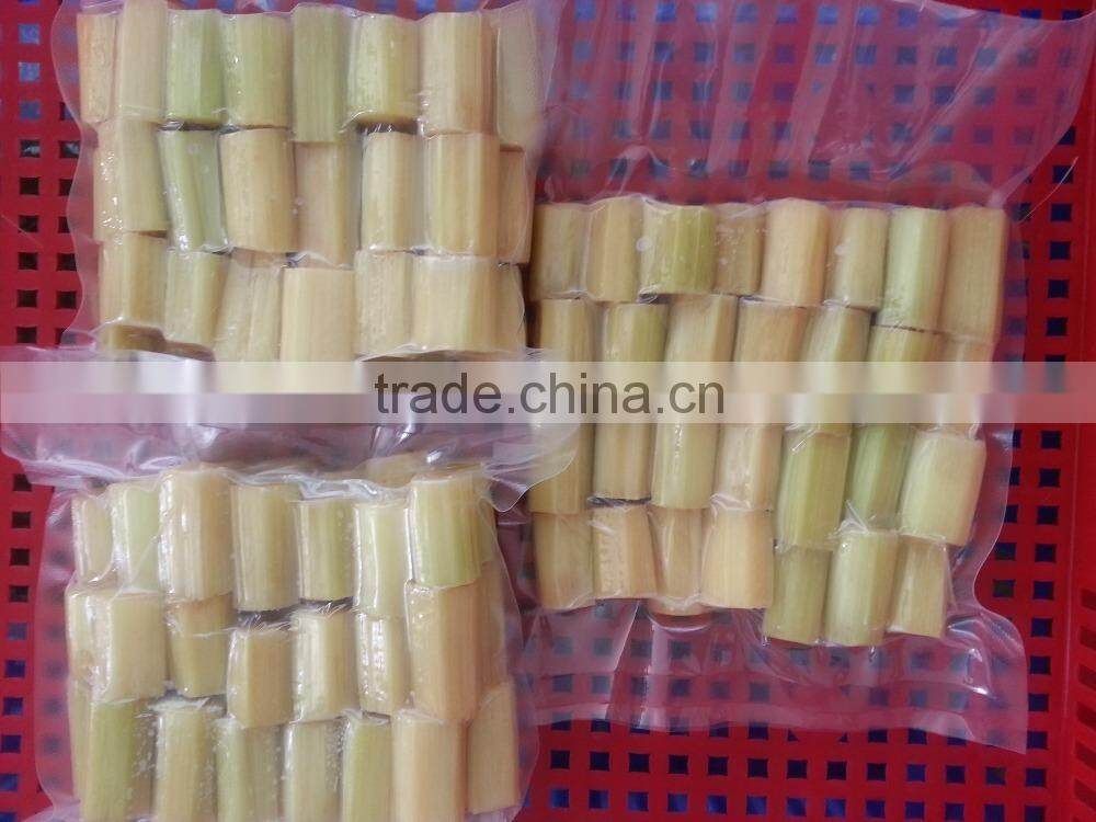 Best Fresh Sweet Sugar Cane from Vietnam