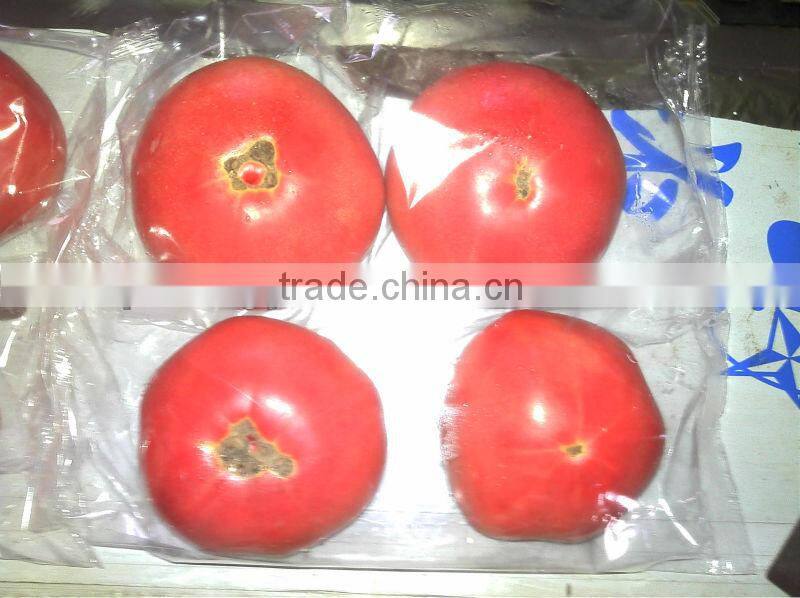 FA590/210 Full Automatic Vegetable and Cake Shrink Wrapping Machines