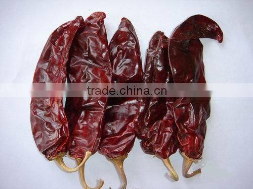 red hot chili powder