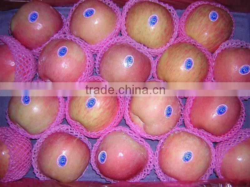 red Fuji apple exporter