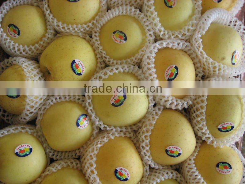 fresh golden delicious apple supplier