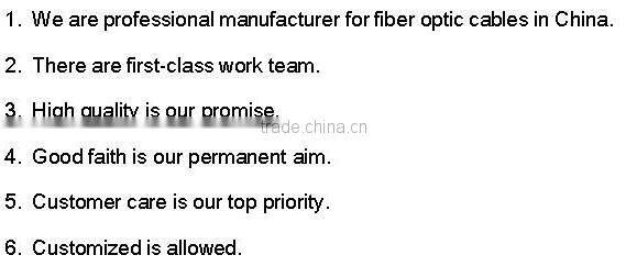 Duct bow-type drop single mode cable GJYXFHA