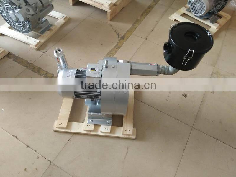 swimming pool air blower