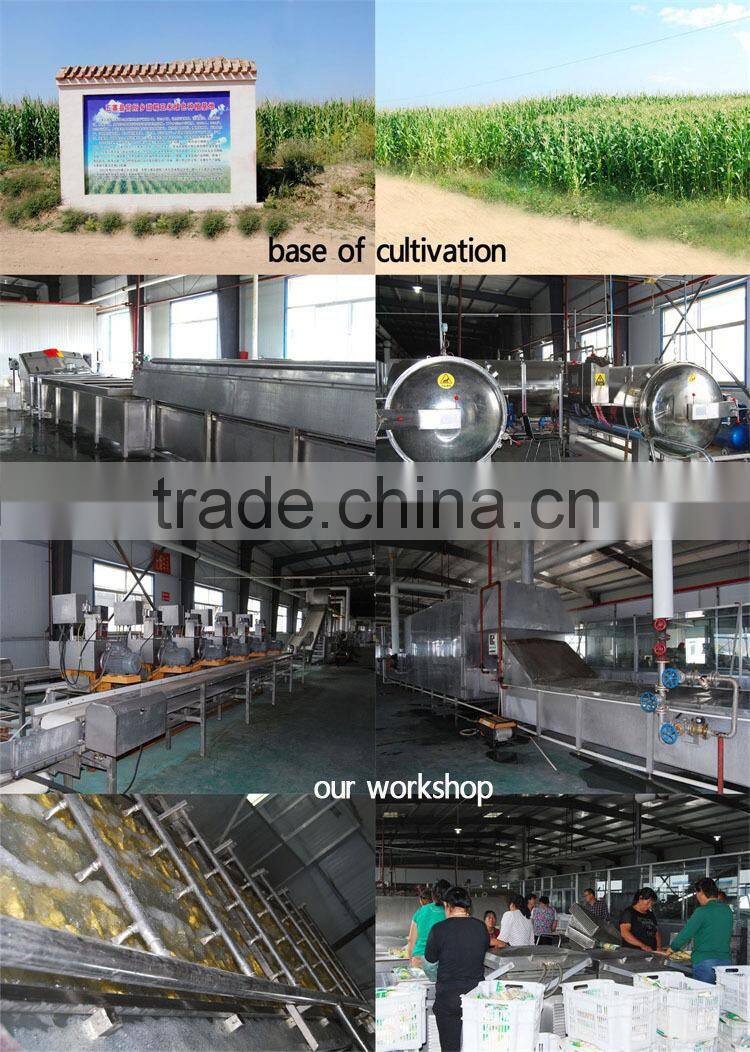 china supplier as gift for child yellow waxy corn