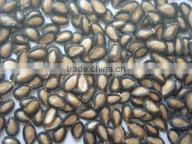 black water melon seeds new crop