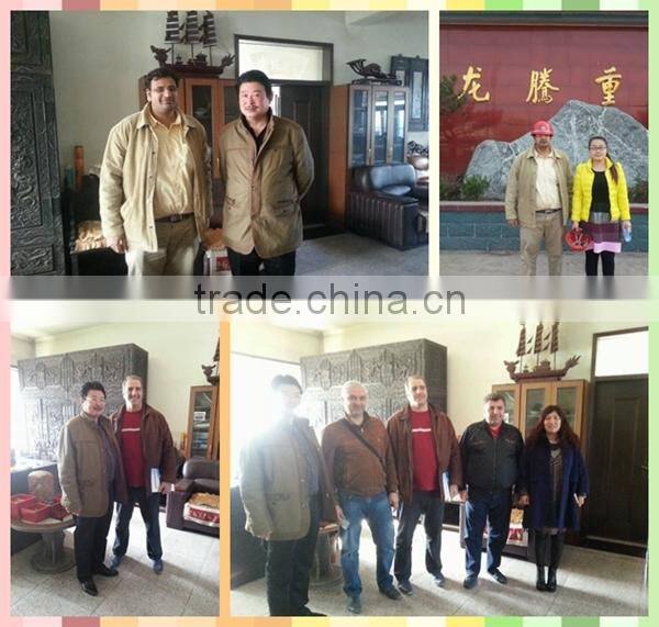 Cheap machine Longteng hammer crusher for mine