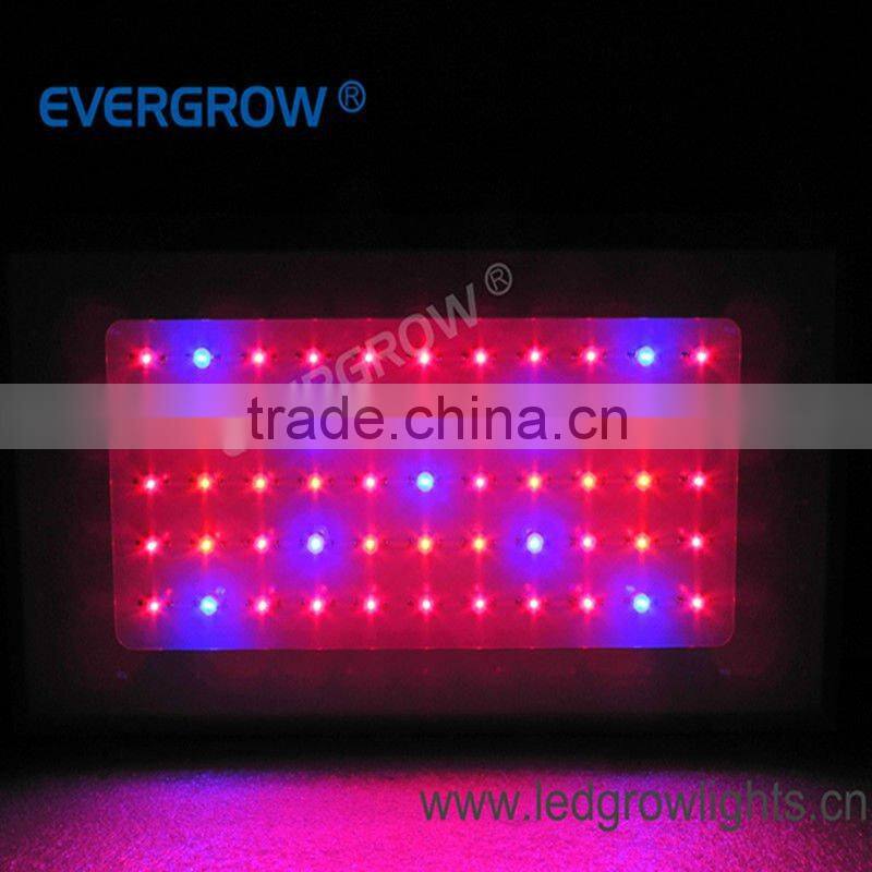 120W efficient horticulture led grow lamp EG-55*3W-LG1-SXB