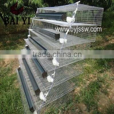 Manufacturing Durable Low Price Wire Mesh Layer Cage For Quail(hot sale)