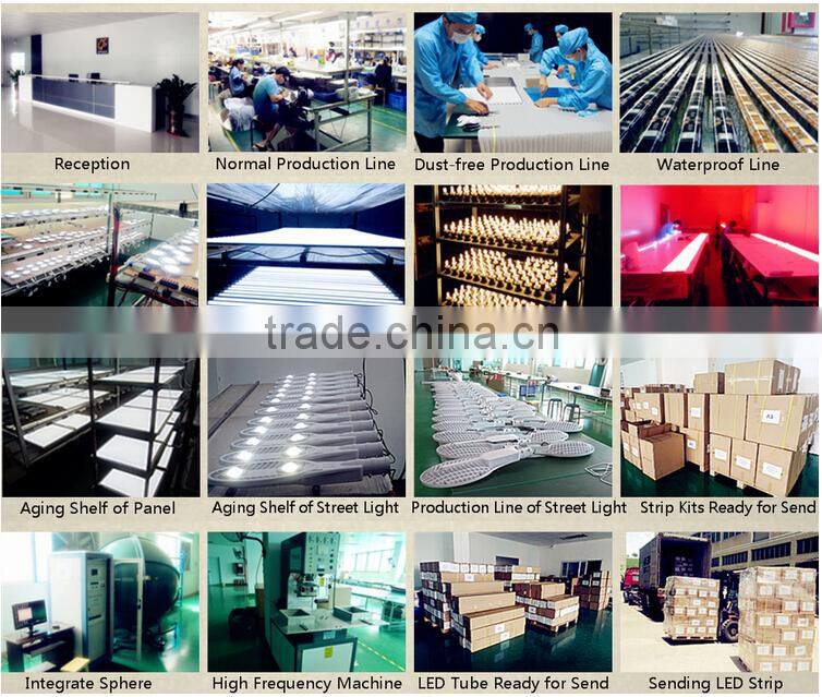 High Lumen 220v COB 20w LED Flood Light