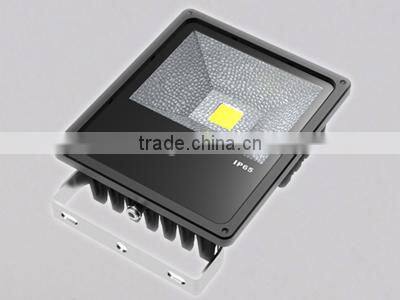 The High Quality LED Floodlight 50W With GS,TUV,UL Driver