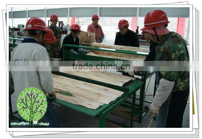 Falcata Core Blockboard