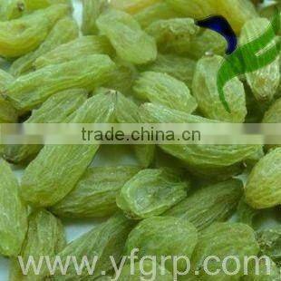 All types of raisins green raisin red raisin golden raisin