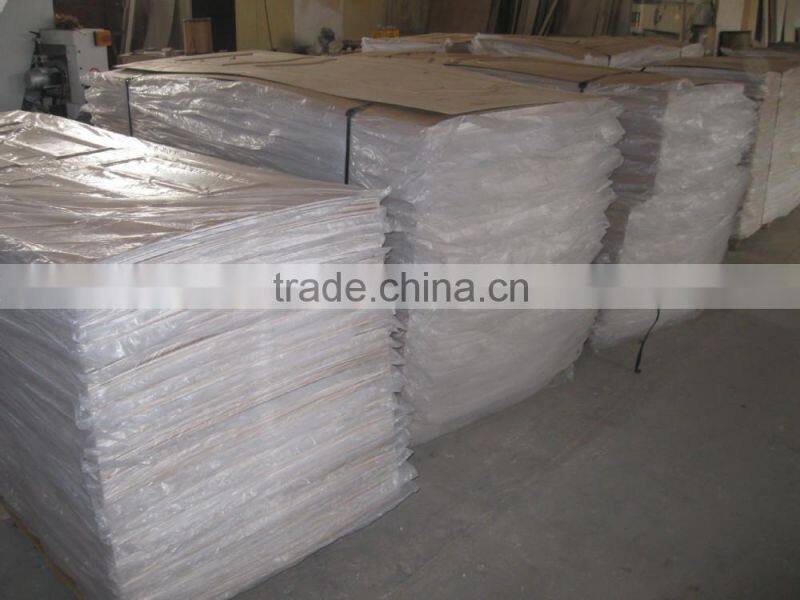 HDF White primer moulded door