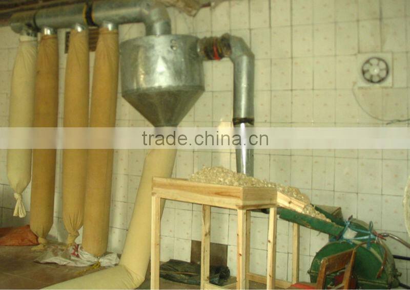 Guangxi Ginger Extract Powder