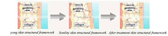 Best High Quality Chinese Skin Care Products