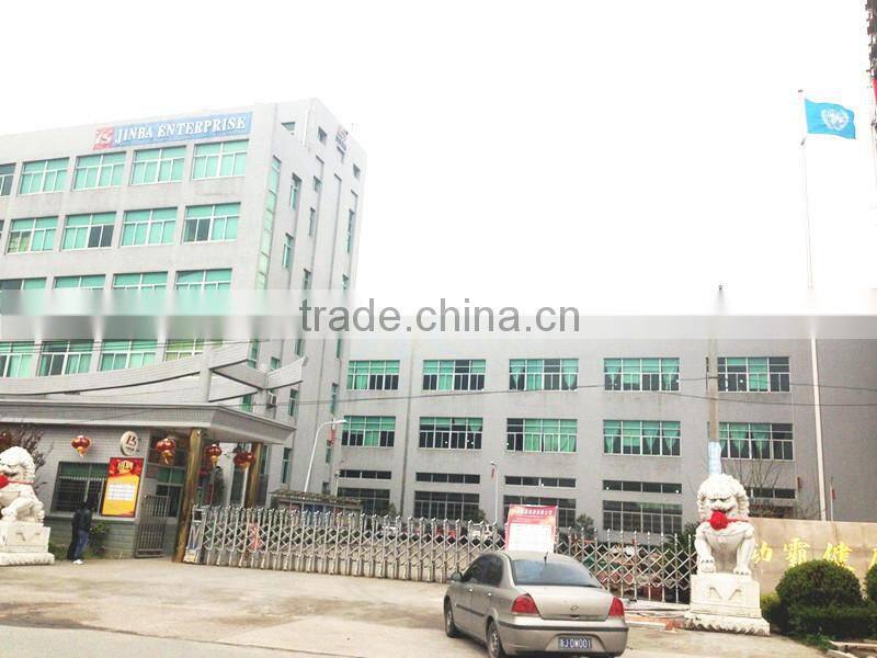 Professional DC motor AC motor Hair Dryer