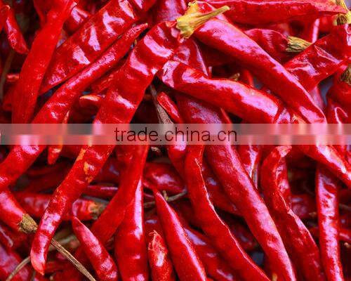 DRY RED WHOLE CHILI