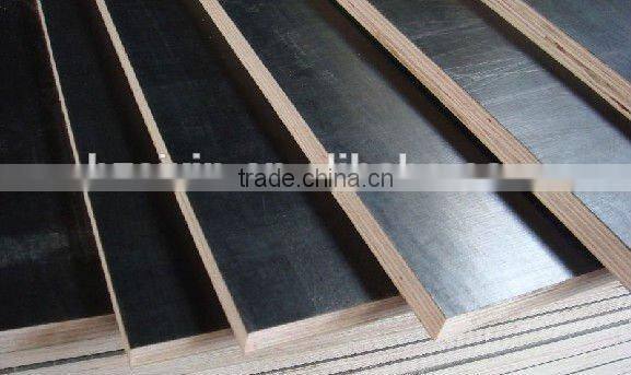 1220x2440x12mm Film Faced Plywood for Construction Plywood