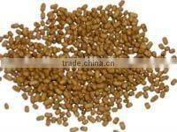 newly Floating Frog/ salmon/fish /pet/fish / animal pellet /food machine//floating pellet making machine//0086-15838059105