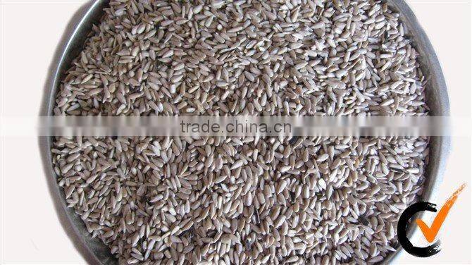 Bird Food Sunflower Kernels