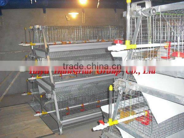 TAIYU-3 automatic broiler raising cage