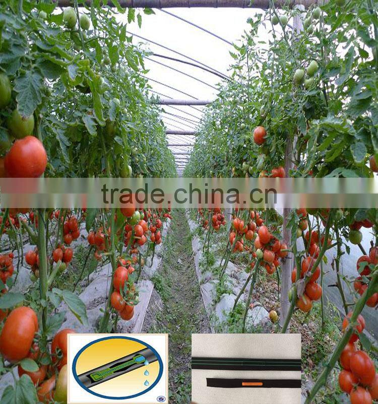 drip irrigation tape in agriculture irrigation system