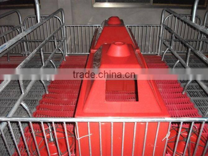 Pig Farming Equipment For Pig Farrow Crates