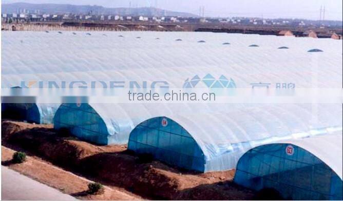 Wind Tunnel Growing Warm House