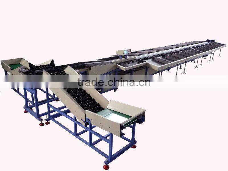 Electronic fruit sorting machine