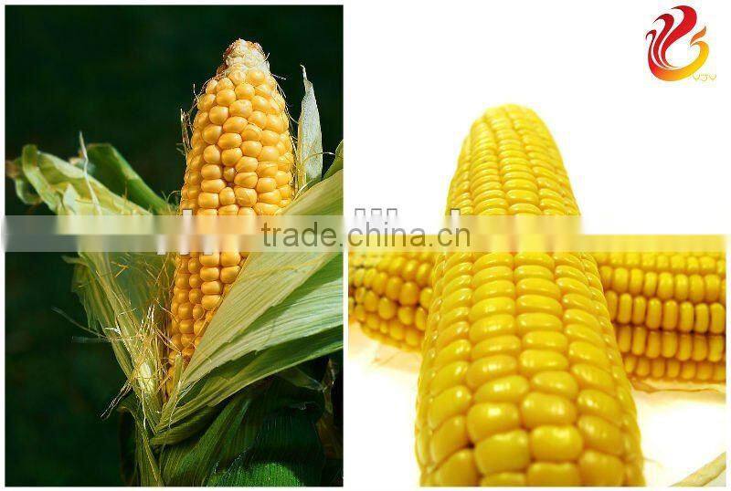 Large production maize sheller