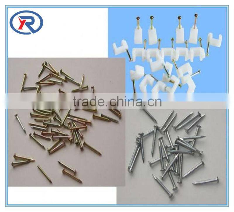 Competitive High Standard Galvanized Hardened Concrete Steel Nails