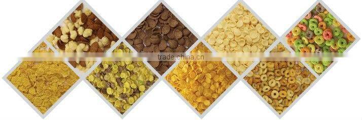 corn /rice flakes making machine/corn flakes production line