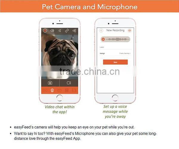 Best automatic dry cat food dispenser,feeder and waterer