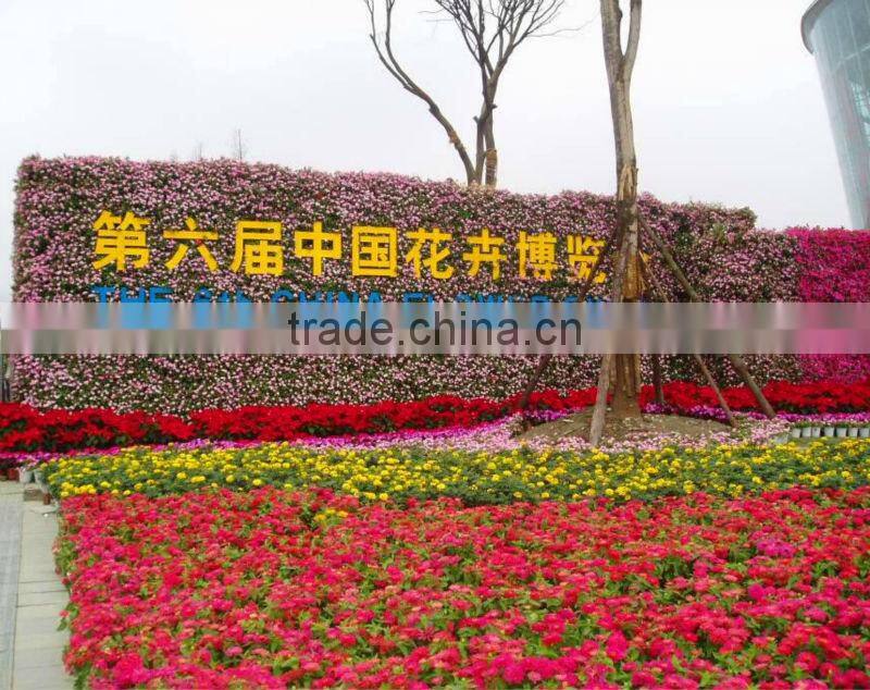 garden flowers flora felt living wall planter vertical garden supplies