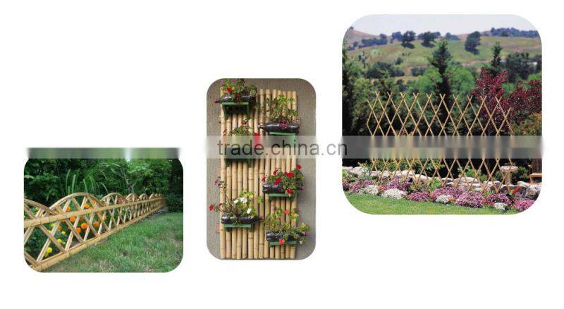 Dyed bamboo sticks for supporting tomato