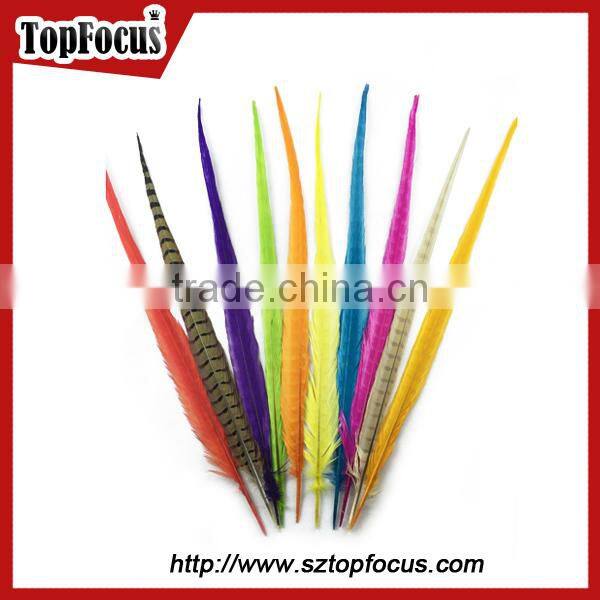 50-55cm assorted color dyed Pheasant tail feathers